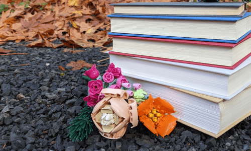 A stack of books on top of some black rocks. Lego flowers in front of the books. And orange leaves in the background.