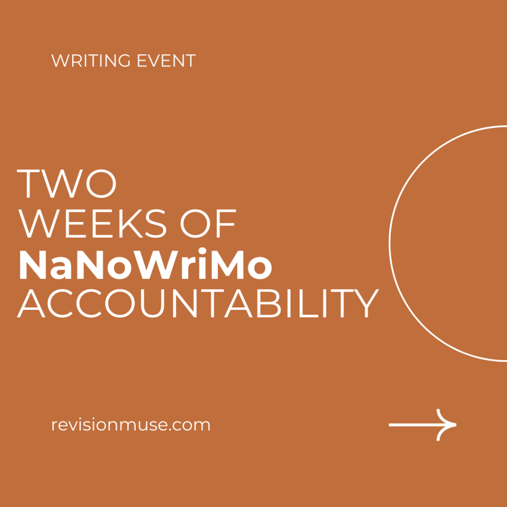 Two weeks of NaNoWriMo Accountability