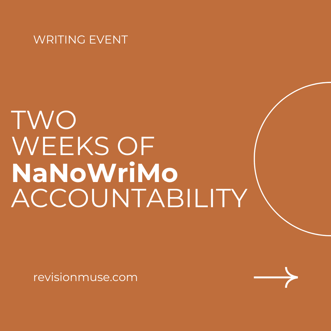 Two Weeks of NaNoWriMo Accountability